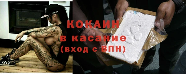 дмт Каменка