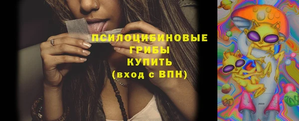 дмт Каменка