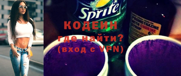 дмт Каменка