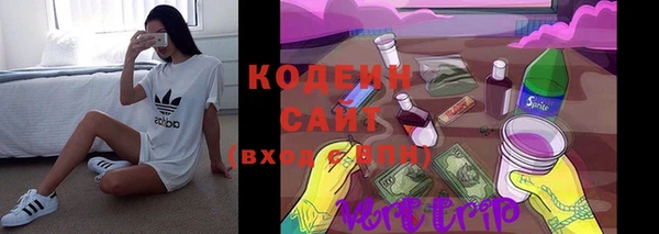 дмт Каменка
