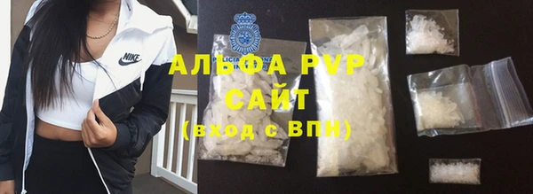 дмт Каменка