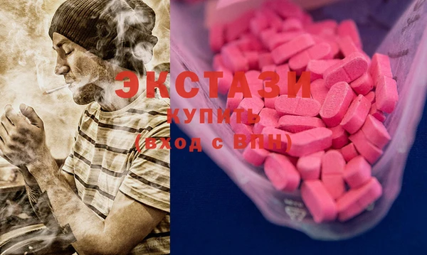 дмт Каменка