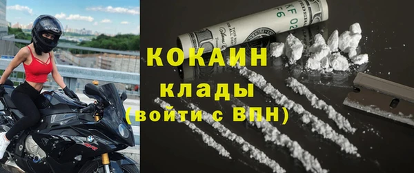 дмт Каменка